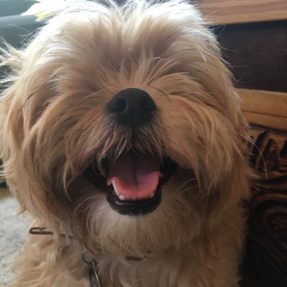 Meet your Posher, Lorraine - Picture 1 of 1